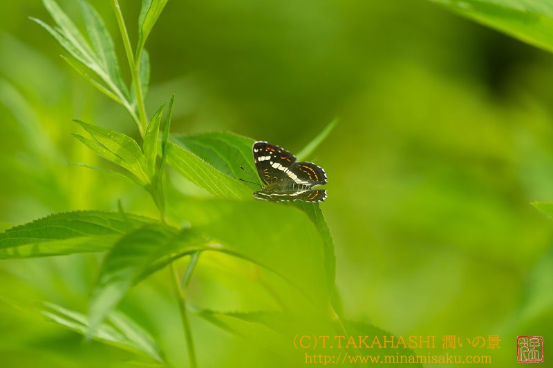 ../Images/7R250809 (412).jpg